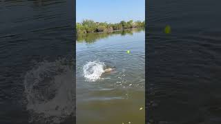 Fishing oustside of New Orleans with my fav cuz Terrance Red Fish [upl. by Nylaj]