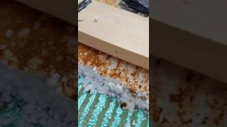 Rockwood popup camper ac removal and roof repair part 8 [upl. by Jumbala]