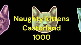 Puzzle Time Lapse Naughty kittens Castorland 500 [upl. by Holbrook]