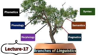 Lecture17 Branches of Linguistics Phonetics Phonology Morphology Syntax Semantics etc [upl. by Phaedra]