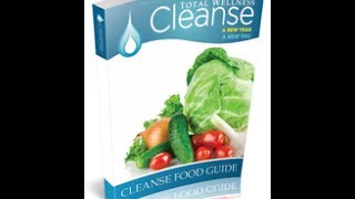 Total Wellness Cleanse Review of Recipe Guide [upl. by Anatnom65]