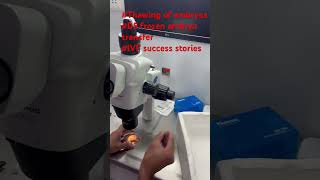 Thawing of embryos Day 5 transferIVFIVF success stories [upl. by Rusert]