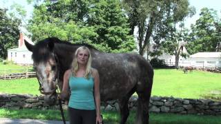 Orchard Hill Equestrian Center Tour [upl. by Jewelle750]