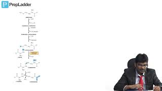 Synthesis of nonessential amino acids  MCQ discussion [upl. by Trina]