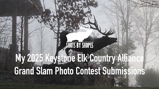 My 2025 Keystone Elk Country Alliance Grand Slam Photo Contest Submission [upl. by Mickelson395]