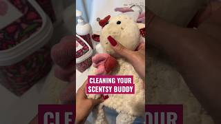 How To Clean Your Scentsy Buddy 🧺 The Washing Machine Method scentsybuddy scentsy [upl. by Kay]