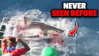 The Most Gruesome Shark Attacks Ever Recorded [upl. by Seilenna489]