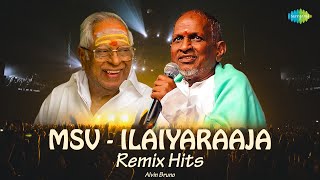 MSV  Ilaiyaraaja Remix Hits  Alvin Bruno  En Iniya Pon Nilave Chippi Erukkuthu Madai Thiranthu [upl. by Adnahsor]