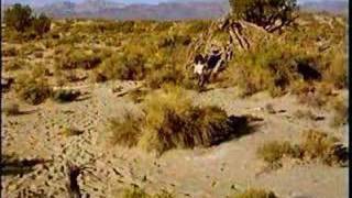 Native American Story of Mono Lake Paiute Indians [upl. by Odrick]