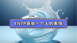 ENTP：喜欢一个人有什么表现？（以及注意事项） [upl. by Cohligan825]