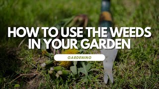 How To Use The Weeds In Your Garden [upl. by Siol222]