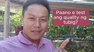 Paano e test ang tubig sa Biofloc Pond [upl. by Anahtor739]