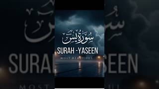 Surah Yaseen  The Heart of the Quran [upl. by Artemus566]