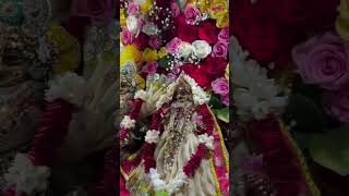 Mero radharaman girdhari 🥀🌺🤗❤️🥰 ytshorts shreekrishna shreeradha love vrindavan bajhan [upl. by Leissam]