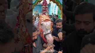 8 Muharram Sirsi Sadat Azadari Shabihe Zuljnah Hazrat Qasim as sirsiazadari110 sirsisadat karbala [upl. by Stegman674]