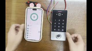 how does this VF1EM tuya video doorbell intercom work [upl. by Rogozen]