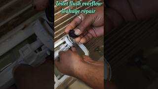 Toilet flush leakage how to fix shortfeed [upl. by Dannye]