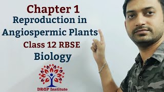 Class 12 Chapter 1 Reproduction in Angiospermic Plants RBSE Biology [upl. by Euqinor913]