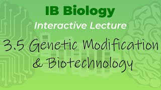 IB Biology 35  Genetic Modification amp Biotechnology  Interactive Lecture [upl. by Aslehc]