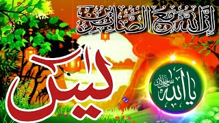 Surah Yaseen Yasin Sharif  Best Quran Recitation  Beautiful Voice  Episode 168 qerat [upl. by Solegna]