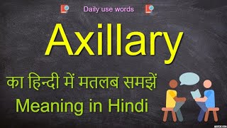 Axillary meaning  Axillary  Axillary Example  Axillary meaning [upl. by Haleelahk]