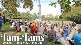 The TamTams in Montreal on MontRoyal Park Drumming amp Dancing tamtamsmontreal montroyalpark [upl. by Liuqnoj]