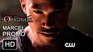 The Originals  Marcel Promo HD [upl. by Auohc]