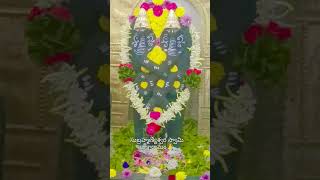 draksharamam subramanianswamy subramanyaswamysongs temple love [upl. by Indnahc657]