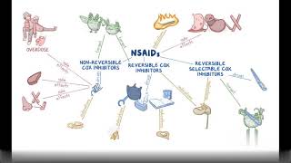 Non Steroidal Anti Inflammatory Drugs NSAIDs Pharmacology [upl. by Adiahs968]