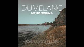 Mpho SebinaDumelang Mvb Beatz amapiano remix [upl. by Loutitia]