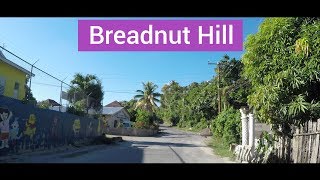 Breadnut Hill Ocho Rios St Ann Jamaica [upl. by Anialeh595]