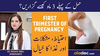 Pregnancy First Trimester In Urdu  Hamal Ke Pehle 3 Months  Pregnancy Week By Week  1st Trimester [upl. by Kev]