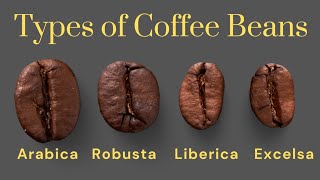 4 Types of Coffee Beans  Arabica  Robusta  Liberica  Excelsa  Barista Training In Nepal [upl. by Mil]