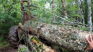 240D Timberjack Cable Skidder First Day on The New Cut What Could Go Wrong Detroit 453 5 Speed [upl. by Ybba404]