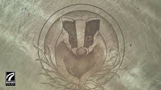 Our Wish for Badgers © Badger Trust 2023 [upl. by Assiral]