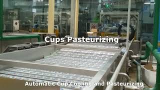 Cups Pasteurizing [upl. by Eillib]