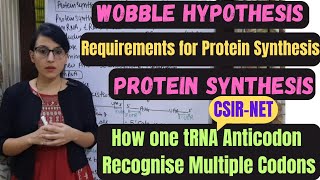 Wobble Hypothesis  Requirements for protein synthesis  Protein Synthesis [upl. by Dirgis87]