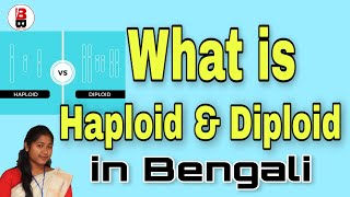 What is Haploid and Diploid Cell in BanglaHaploid Vs Diploidfull explanationBong Biologist [upl. by Kieffer149]