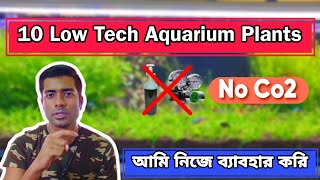 Best Aquarium Plants without co2 [upl. by Jahdol]