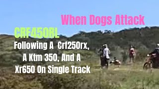 Crf450rl  Single Track Following A Xr650 Ktm350 And Crf250rx Dogs Try to Attack Leader [upl. by O'Donnell]