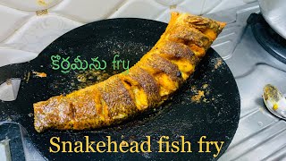 How to prepare Murrel fish fry  కొర్రమీను fry  snakehead fish fry fishfry fishcurry fishmasala [upl. by Ayhdnas157]