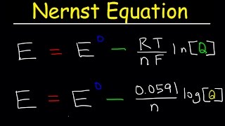 Nernst Equation Explained Electrochemistry Example Problems pH Chemistry Galvanic Cell [upl. by Shirlee396]