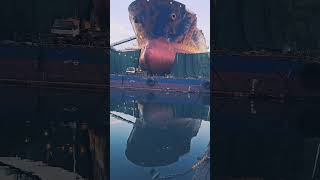 A day in the shipyard ship maritime shipping marine vessel sea birds calm reflection [upl. by Gunner]