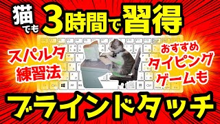 超初心者から3時間でブラインドタッチをマスターする練習方法！おすすめタイピングゲームもご紹介！ [upl. by Malet568]