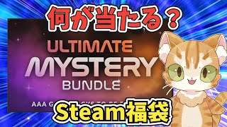 【Steam福袋】fanatical Ultimate Mystery Bundleを10口開封してみた [upl. by Nyladnek]