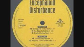 Encephaloid Disturbance  Renegade Ectoplasm ACID [upl. by Nosnarb]