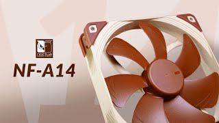 Noctua NFA14 Review  UNBEATEN After 10 Years [upl. by Haerr]