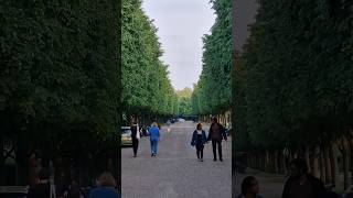 The Avenue Regents Park [upl. by Ytisahc]