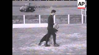 POLICE DOG TRAINING  NO SOUND [upl. by Aitnwahs]