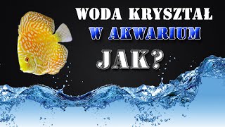 Jak utrzymać krystalicznie czystą wodę w akwarium  💧 [upl. by Nisse]